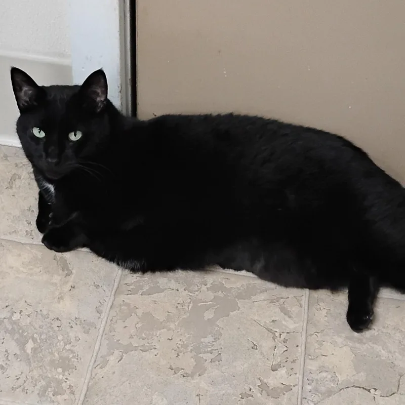 Missy thumbnail 2