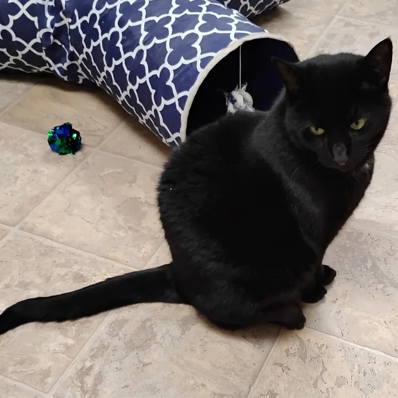 Missy thumbnail 4