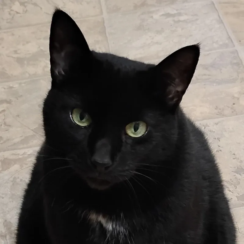 Missy thumbnail 5