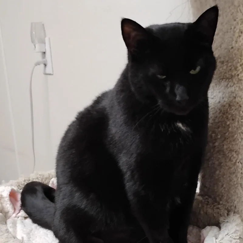 Missy thumbnail 6