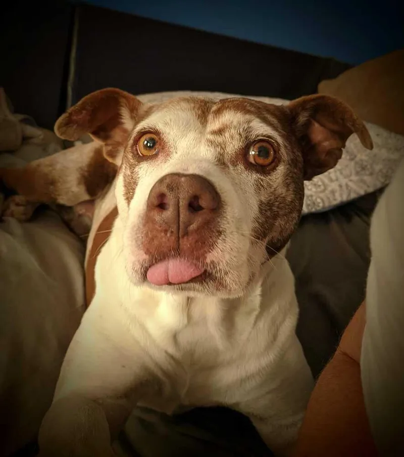 Layla thumbnail 2