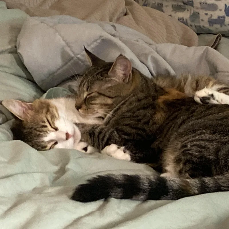 Lalie and Lumie