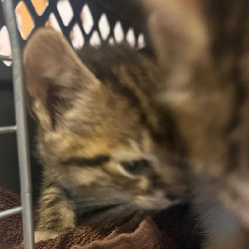 Munchie thumbnail 3