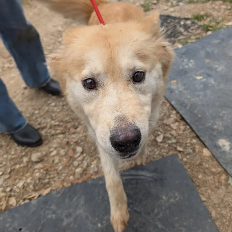 Sunshine thumbnail 2