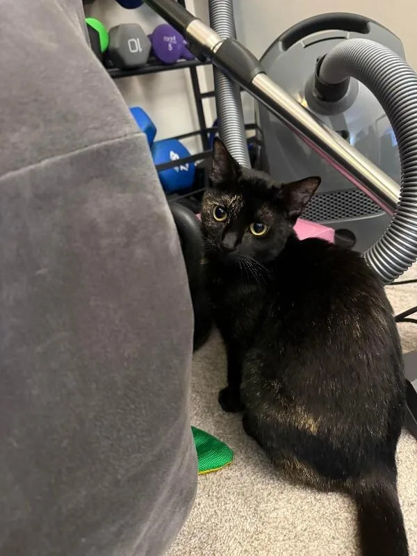 Reese's Pieces thumbnail 2