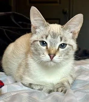 Zinfandel  `a Priority