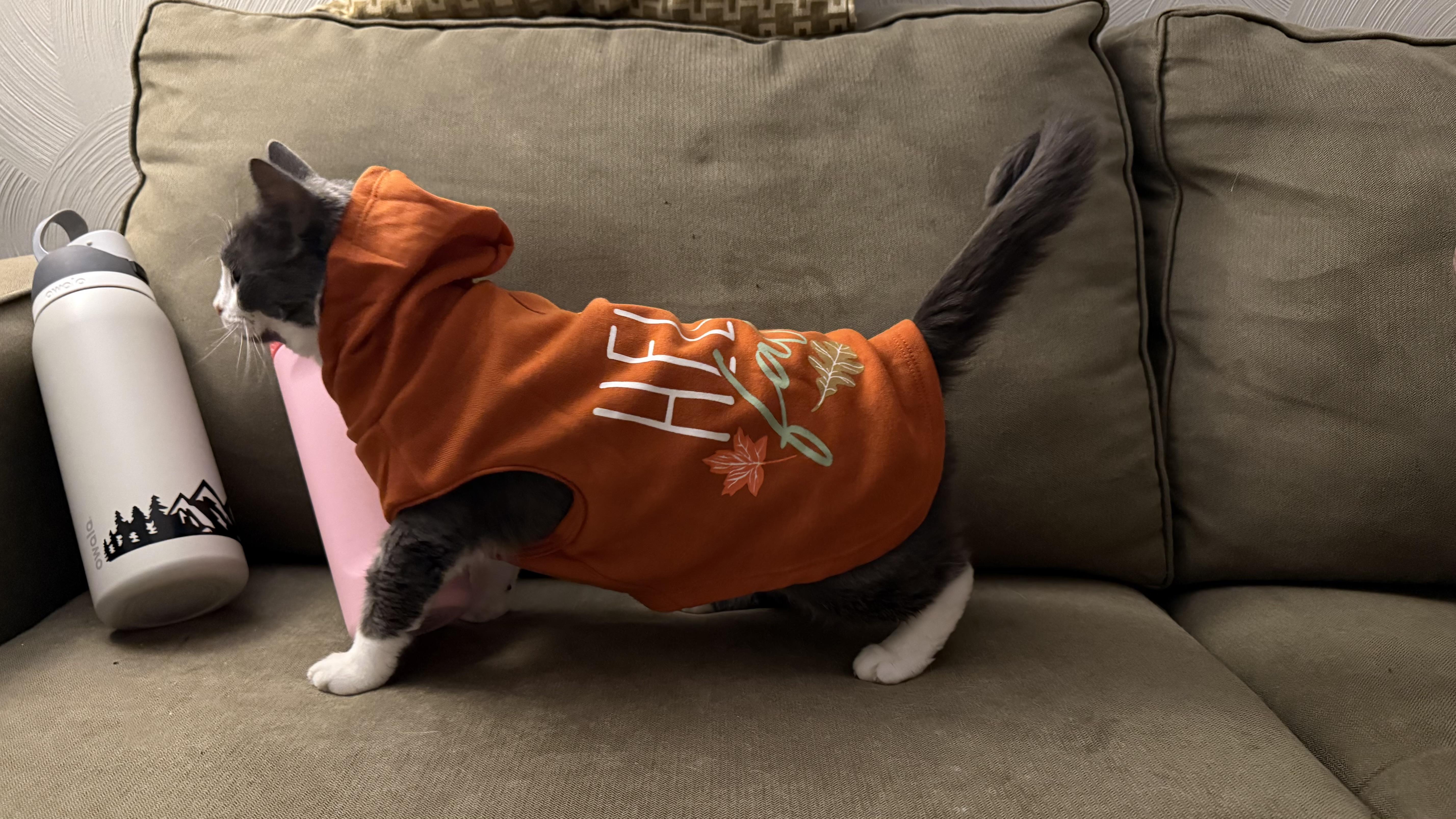 Blizzard thumbnail 2