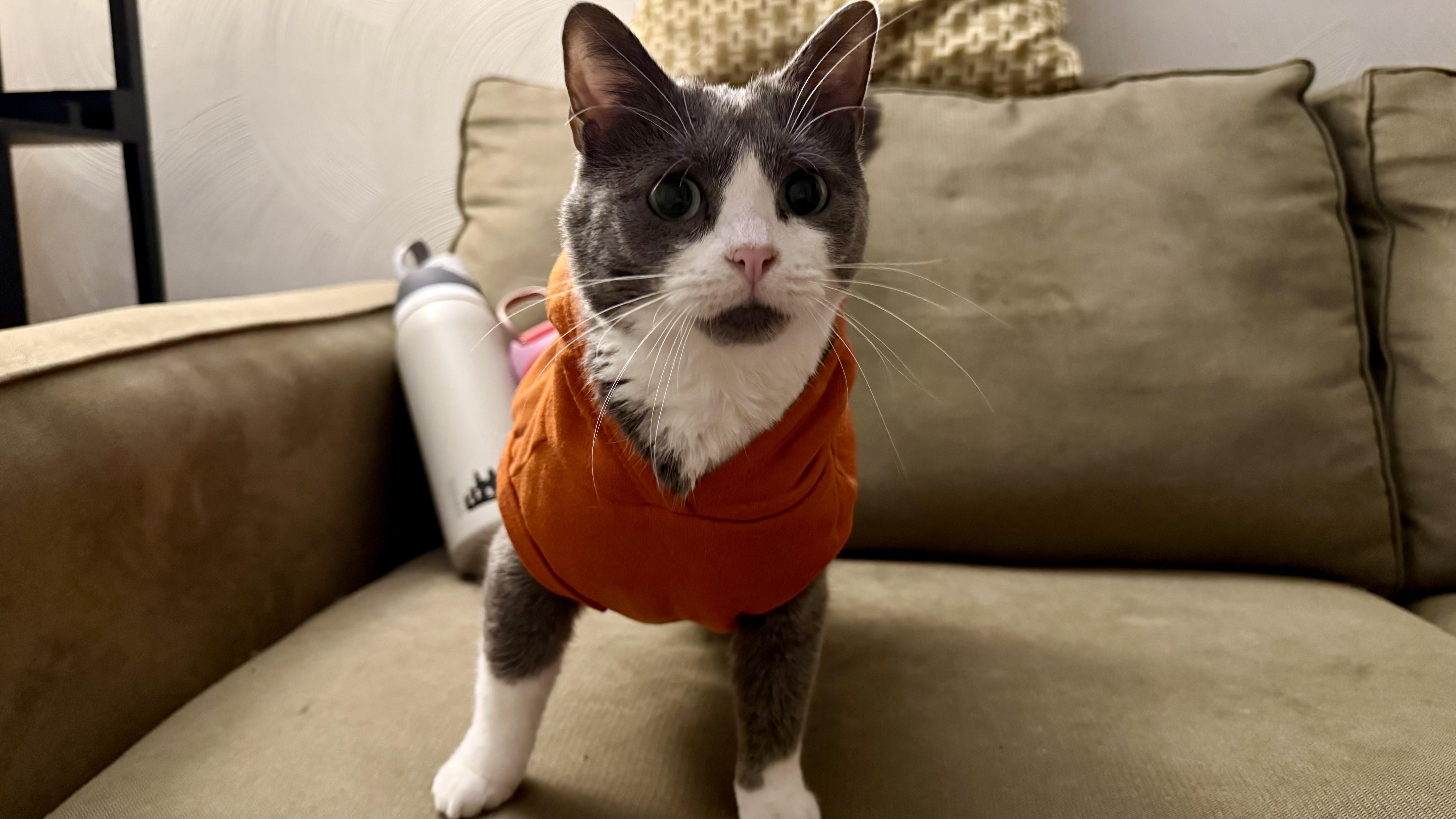 Blizzard thumbnail 5