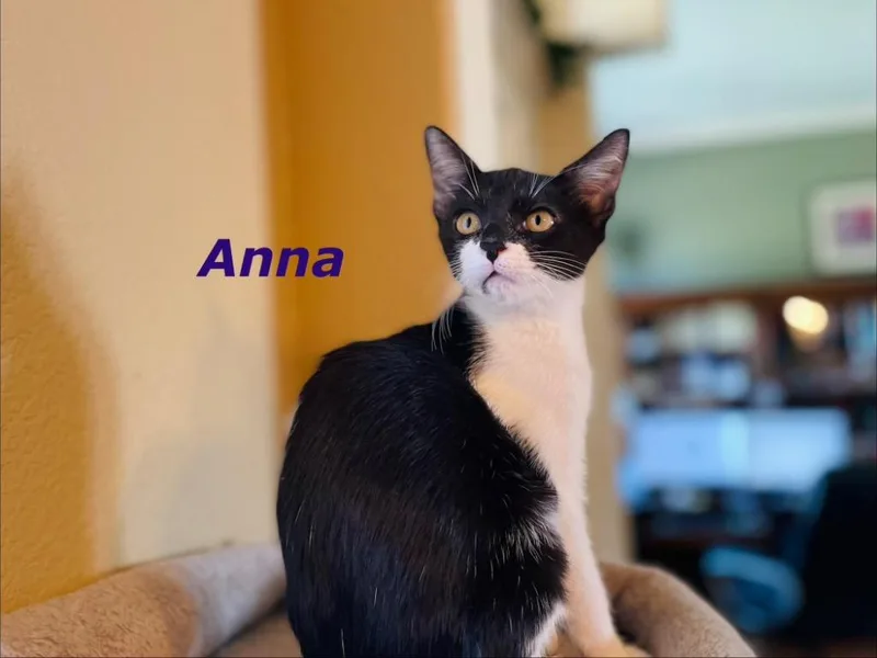 Anna thumbnail 4