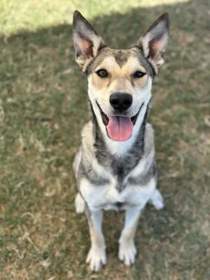 Princessa thumbnail 2