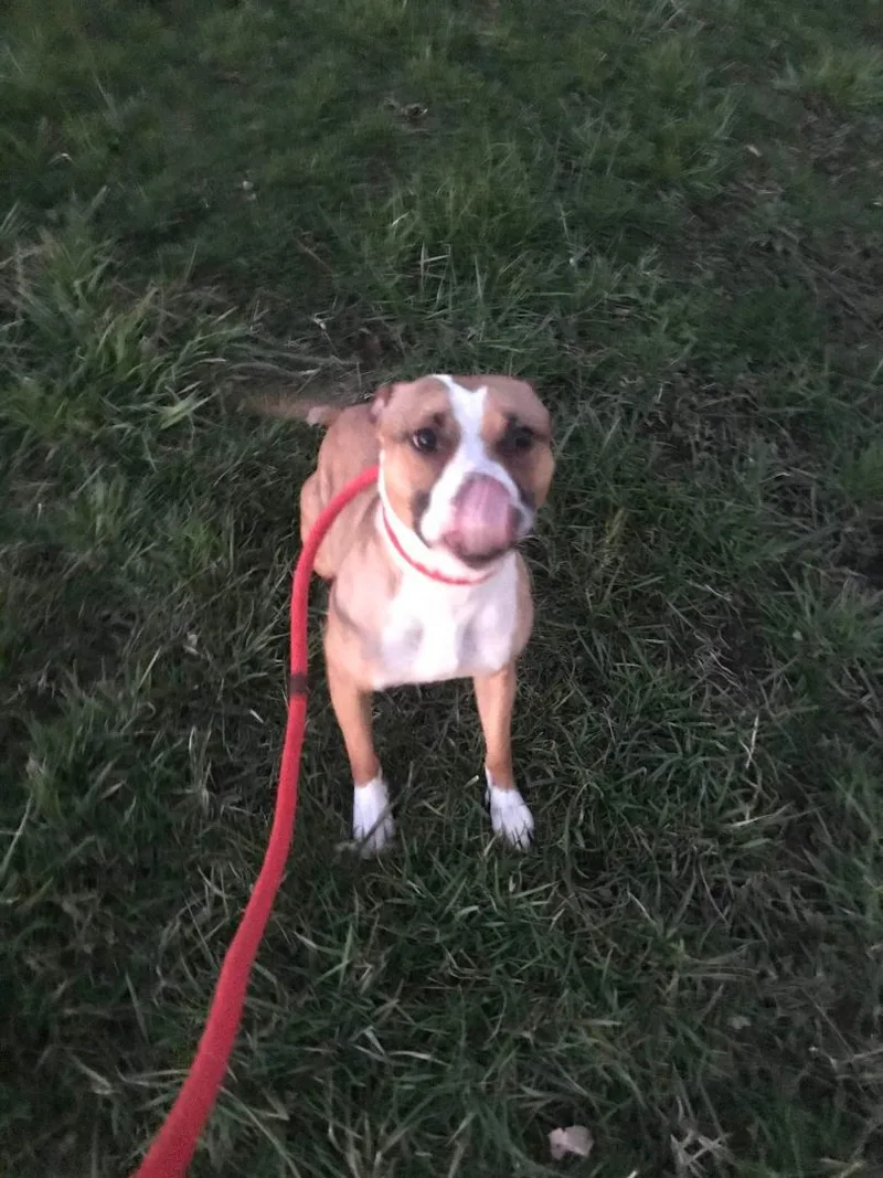 Marimba  Hammond  thumbnail 2