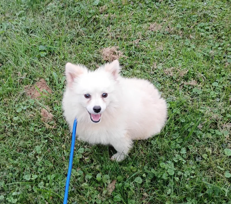 Misha thumbnail 2