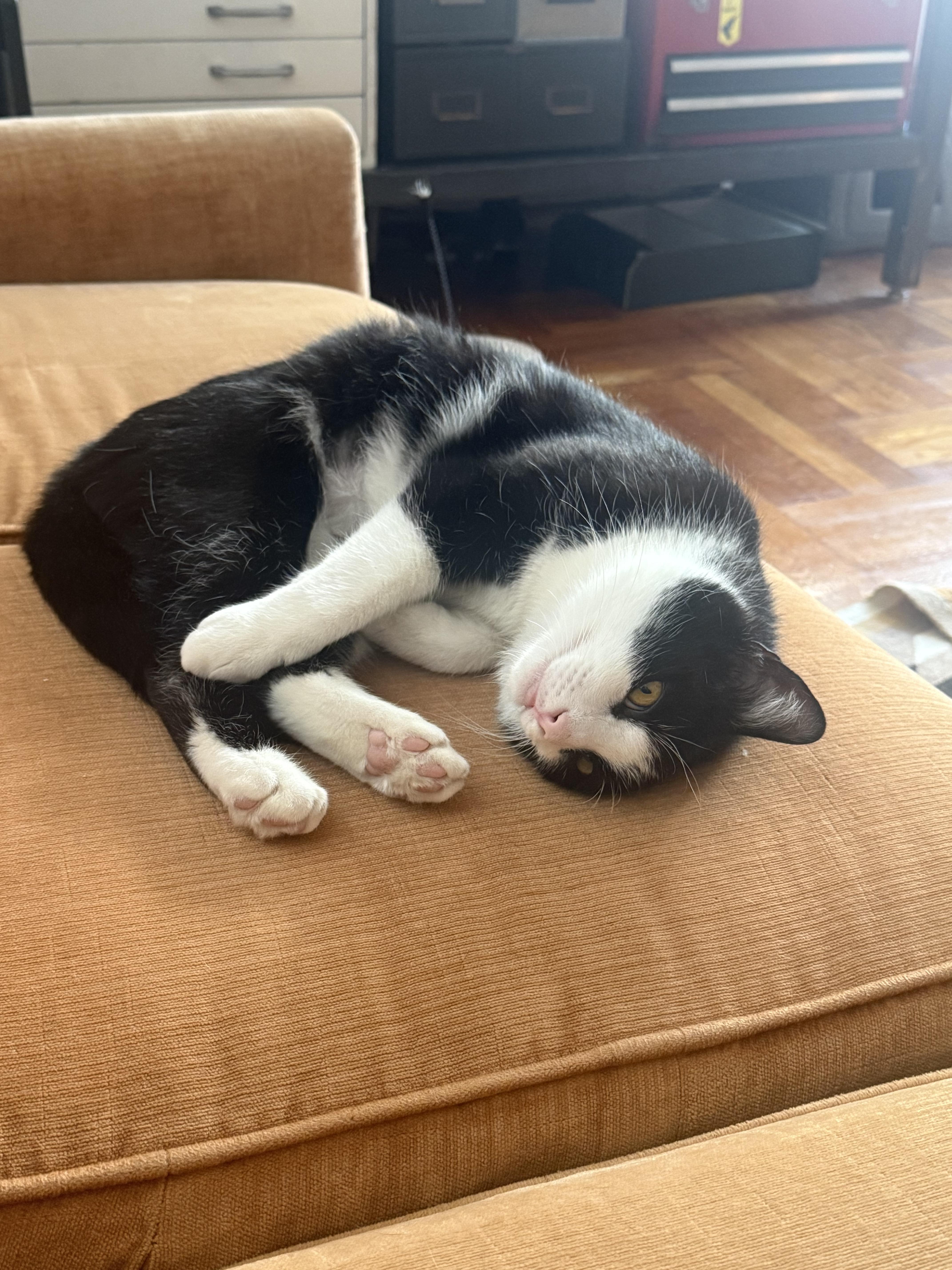 Hetfield thumbnail 2