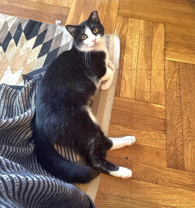 Hetfield thumbnail 3