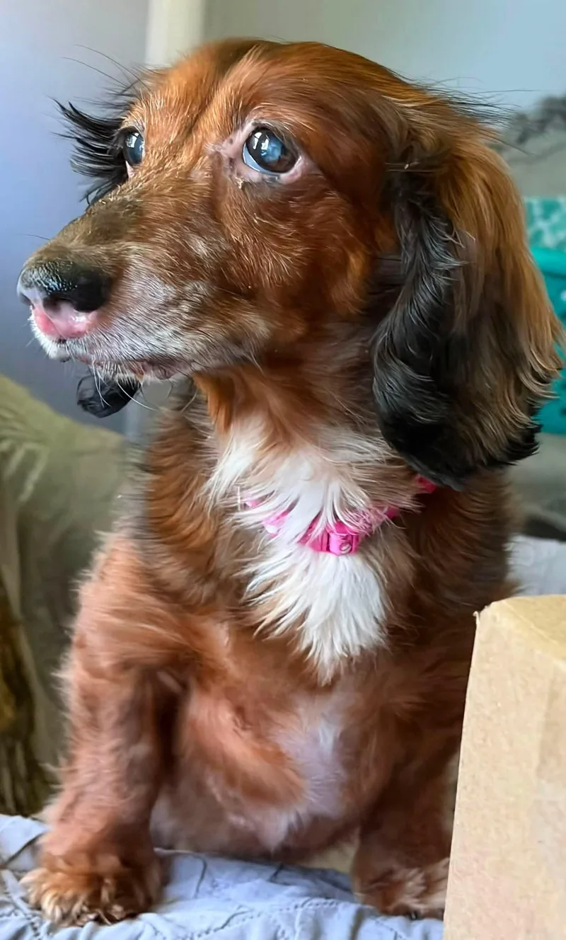 Esther thumbnail 3