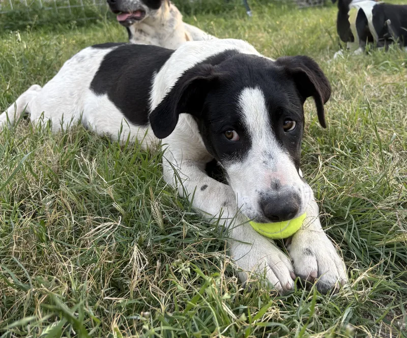 Tinkerbell thumbnail 2