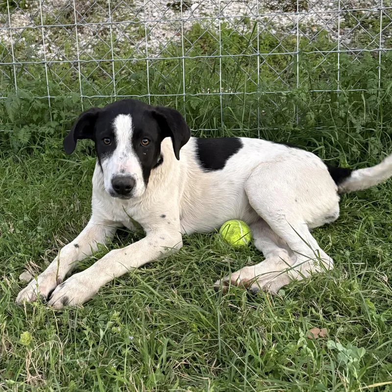 Tinkerbell thumbnail 3