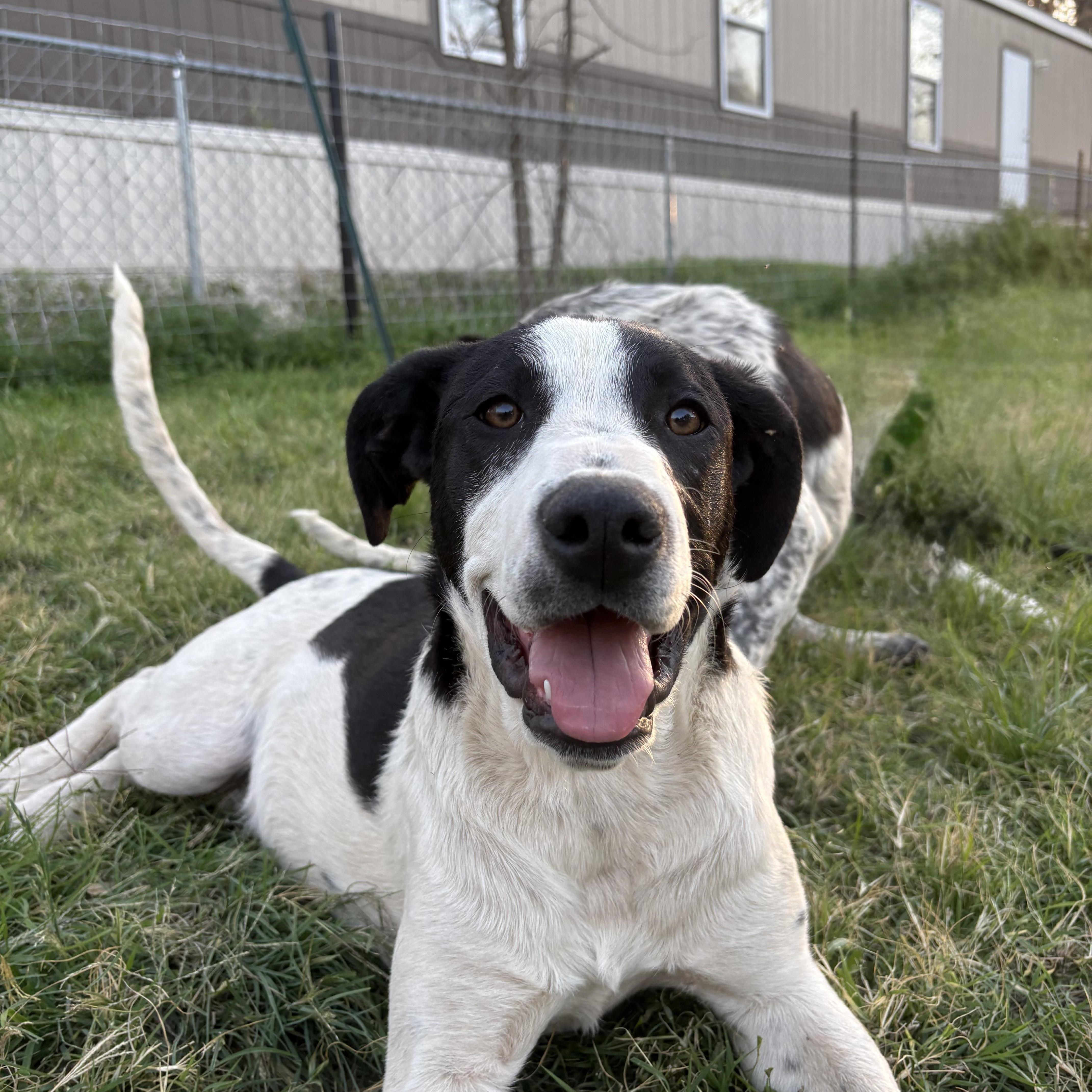 Tinkerbell thumbnail 5