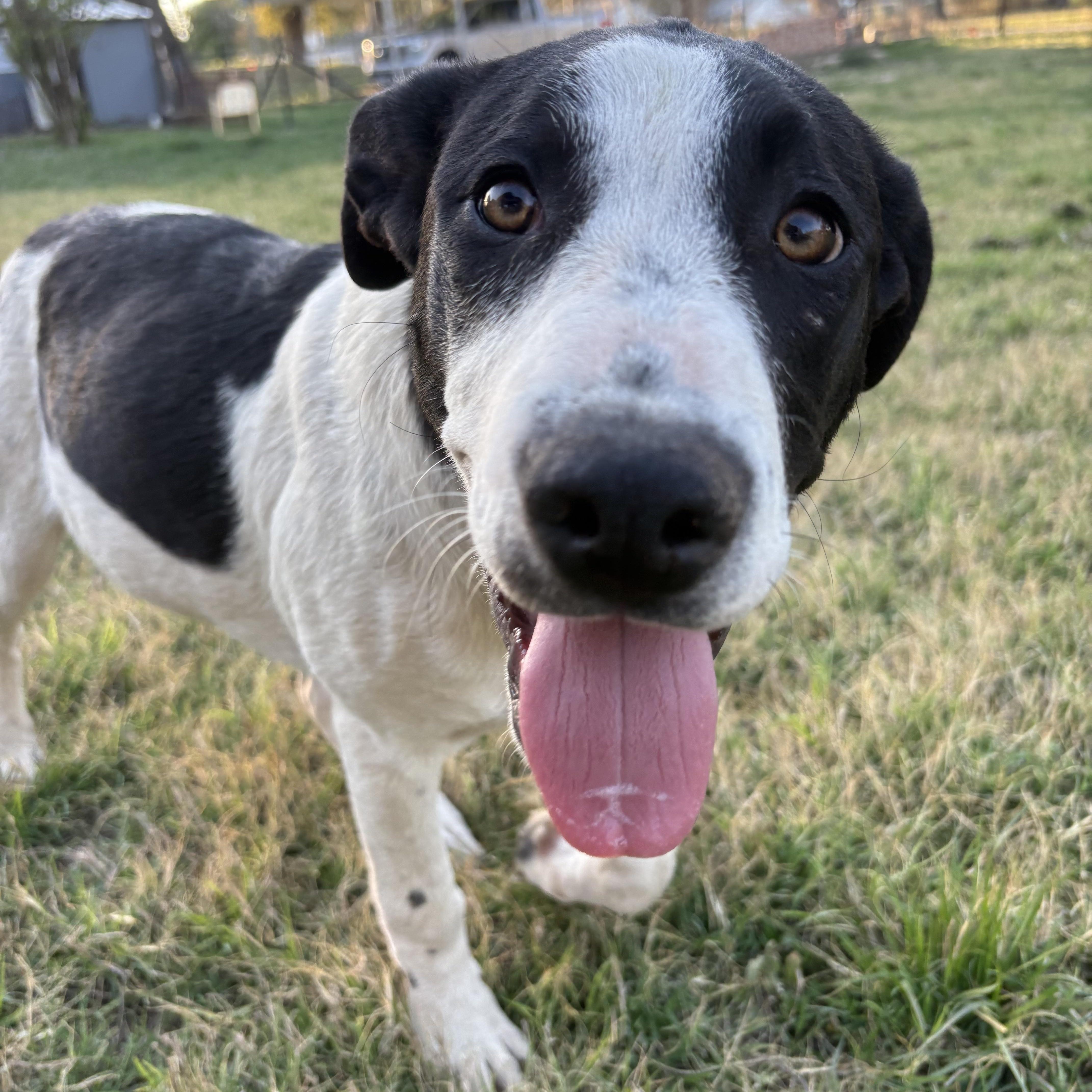 Tinkerbell thumbnail 6