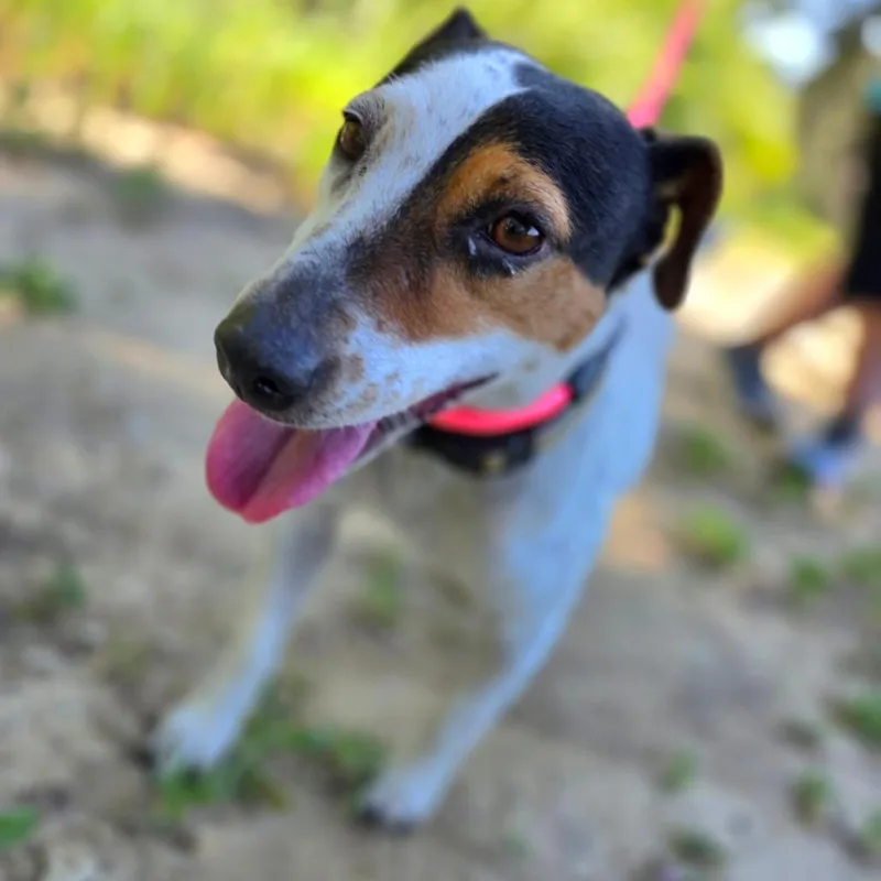 Jackie  Chino Hills thumbnail 2