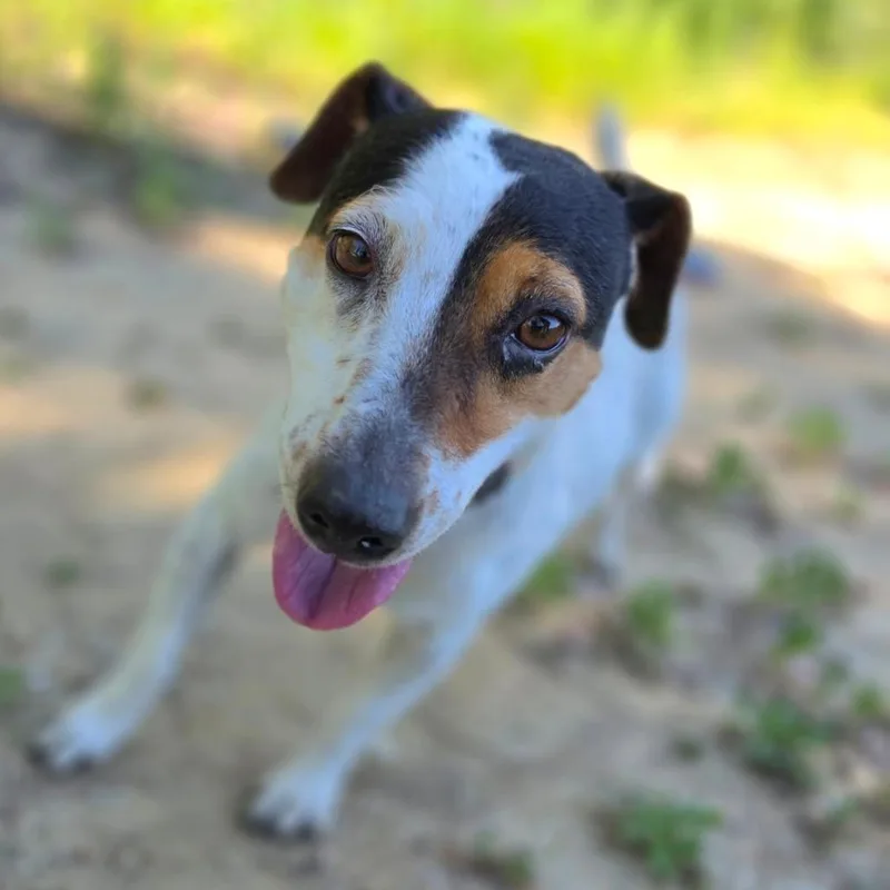 Jackie  Chino Hills thumbnail 3