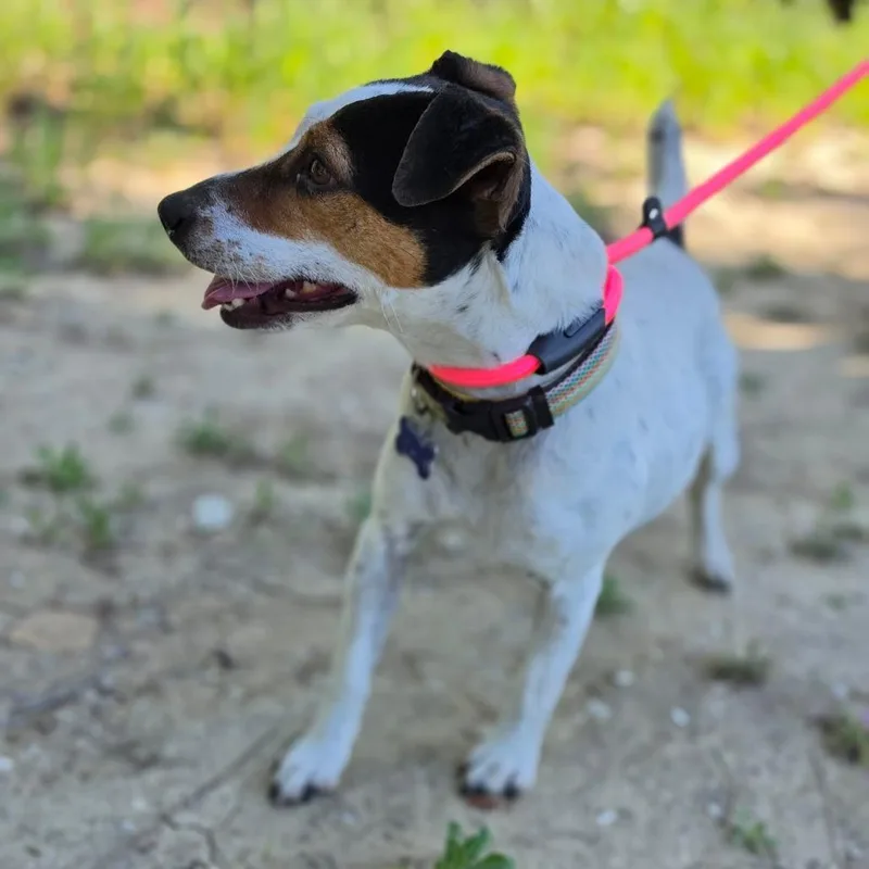 Jackie  Chino Hills thumbnail 5