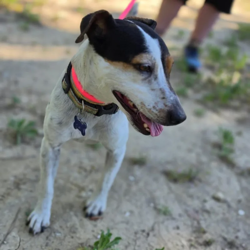 Jackie  Chino Hills thumbnail 6