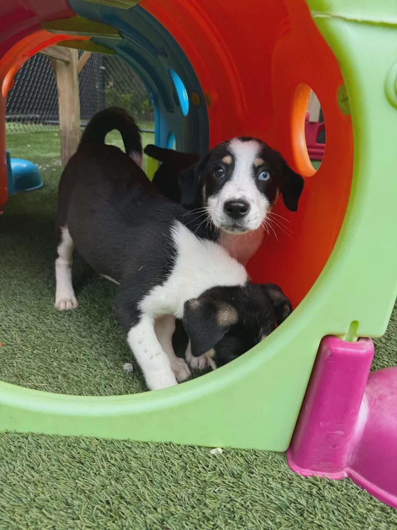 Carly And Sam thumbnail 3