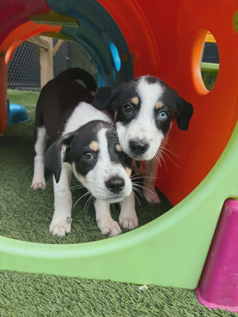 Carly And Sam thumbnail 4