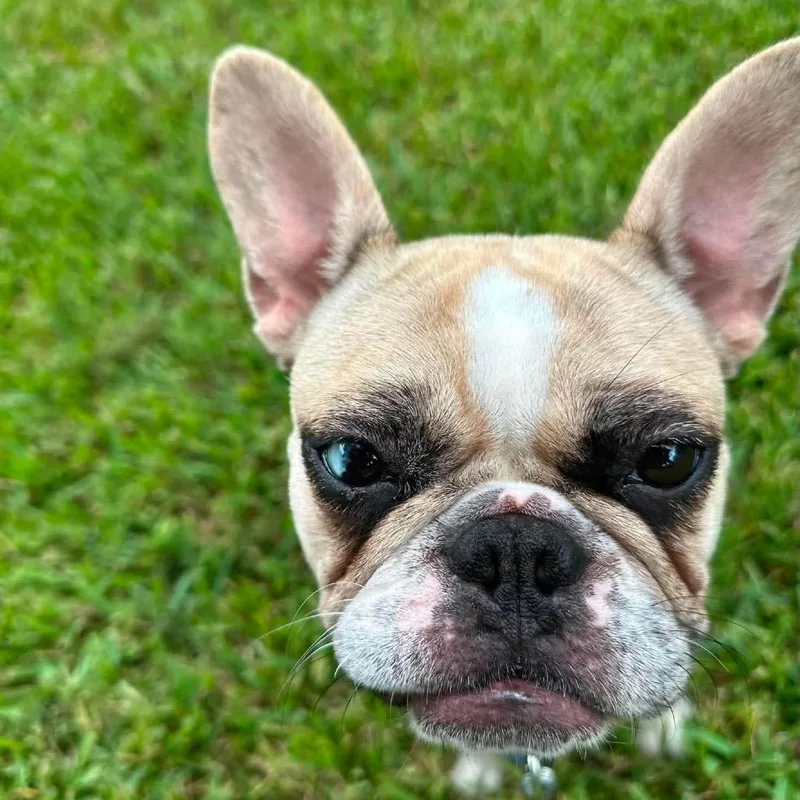 Winnie