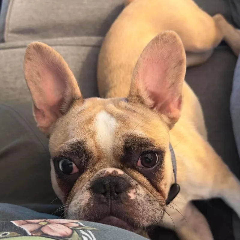 Winnie thumbnail 4