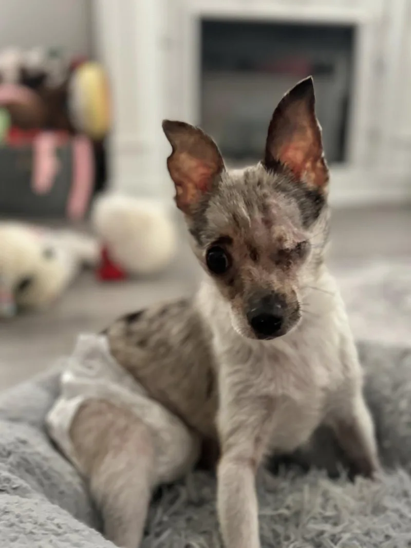 Pebbles thumbnail 2