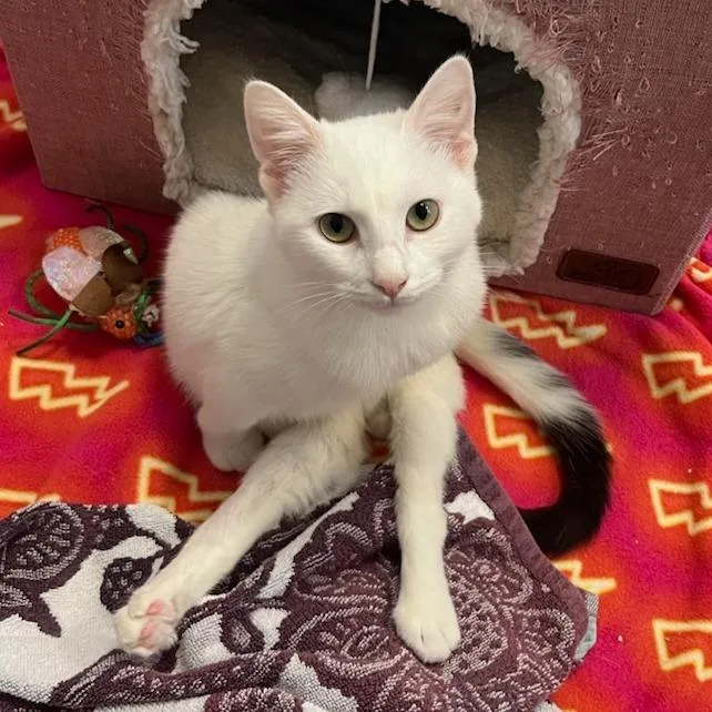 Tuulikki thumbnail 2