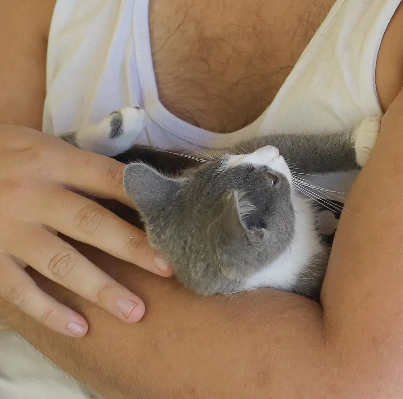 Tito thumbnail 3