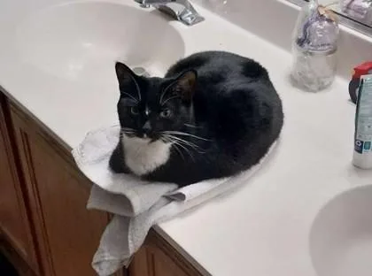 Penelope thumbnail 3