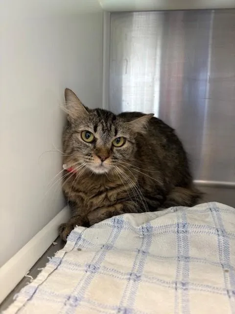 Tina