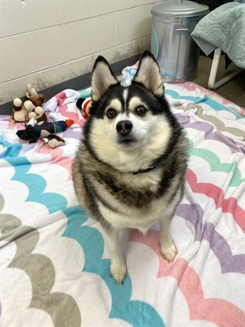 Yuki