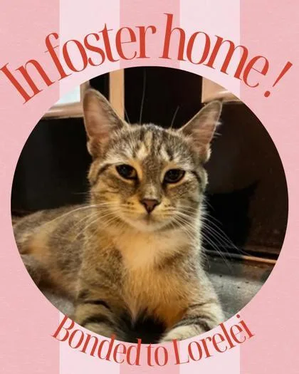 Winifred thumbnail 2