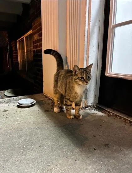 Winifred thumbnail 3