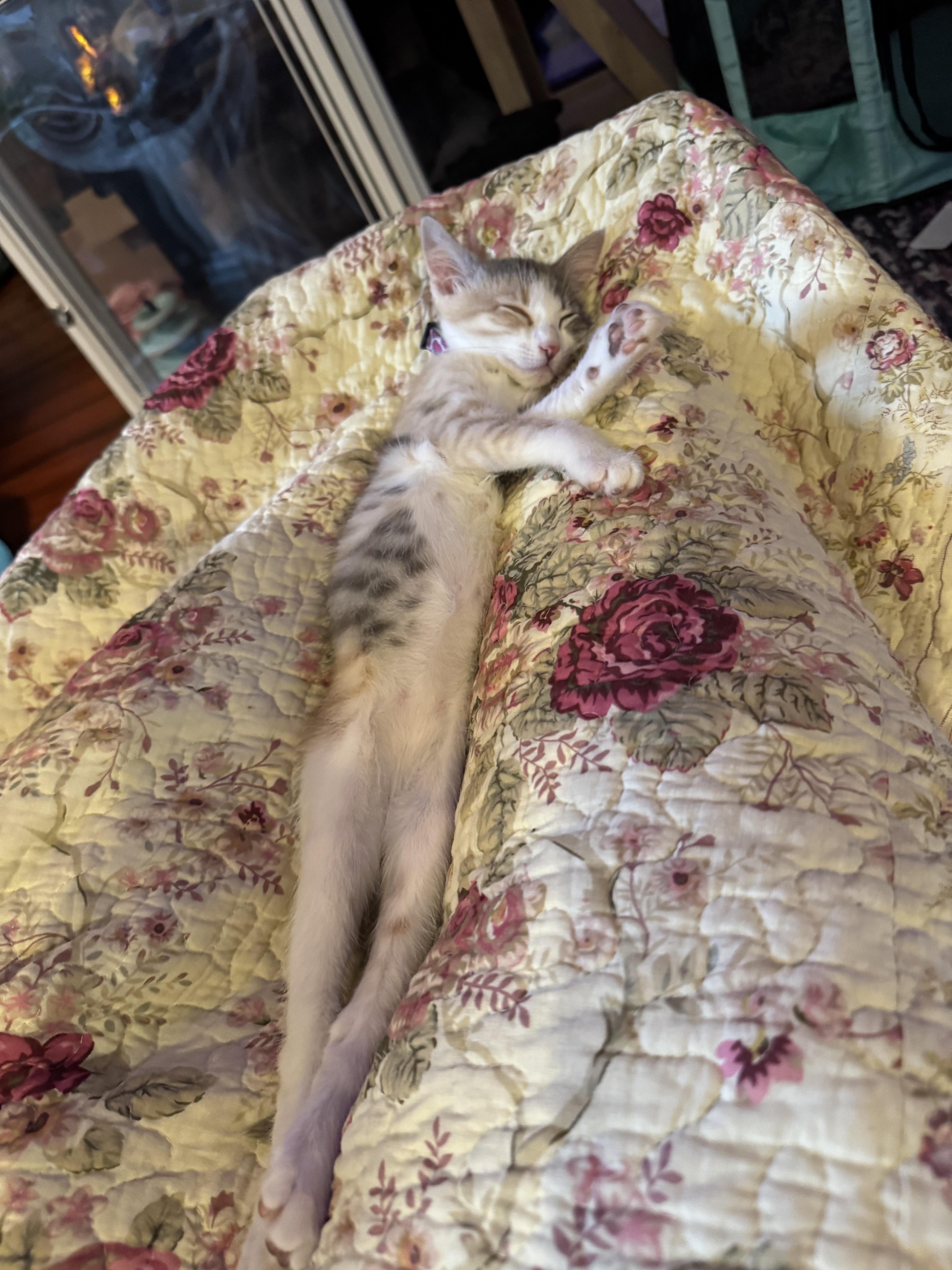 Georgia O'keefe thumbnail 4