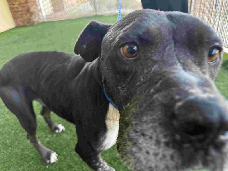 Midnight thumbnail 2