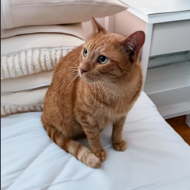 Garfield thumbnail 5