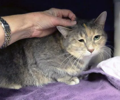 Shay Bff W Kiwi thumbnail 2