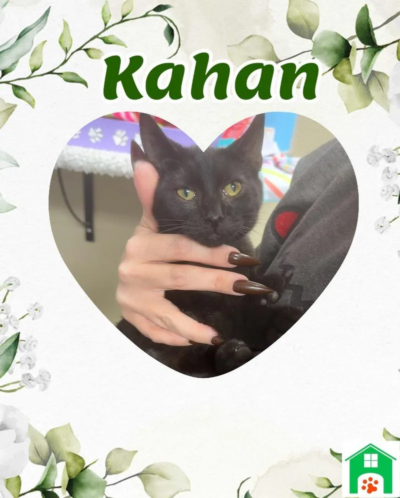 Kahan