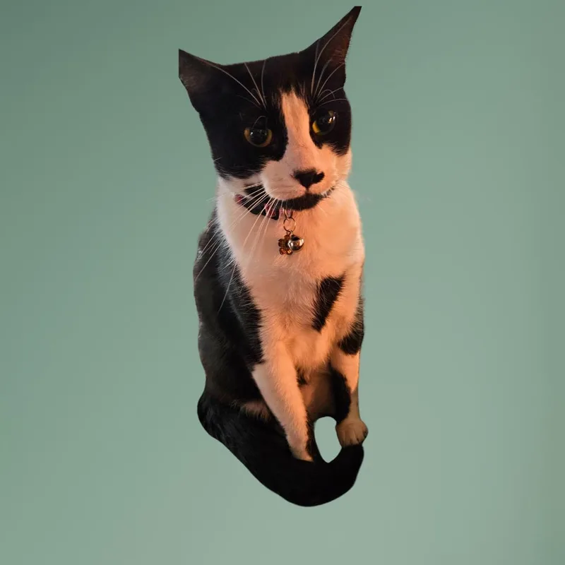 Mary Lou Ellen thumbnail 3