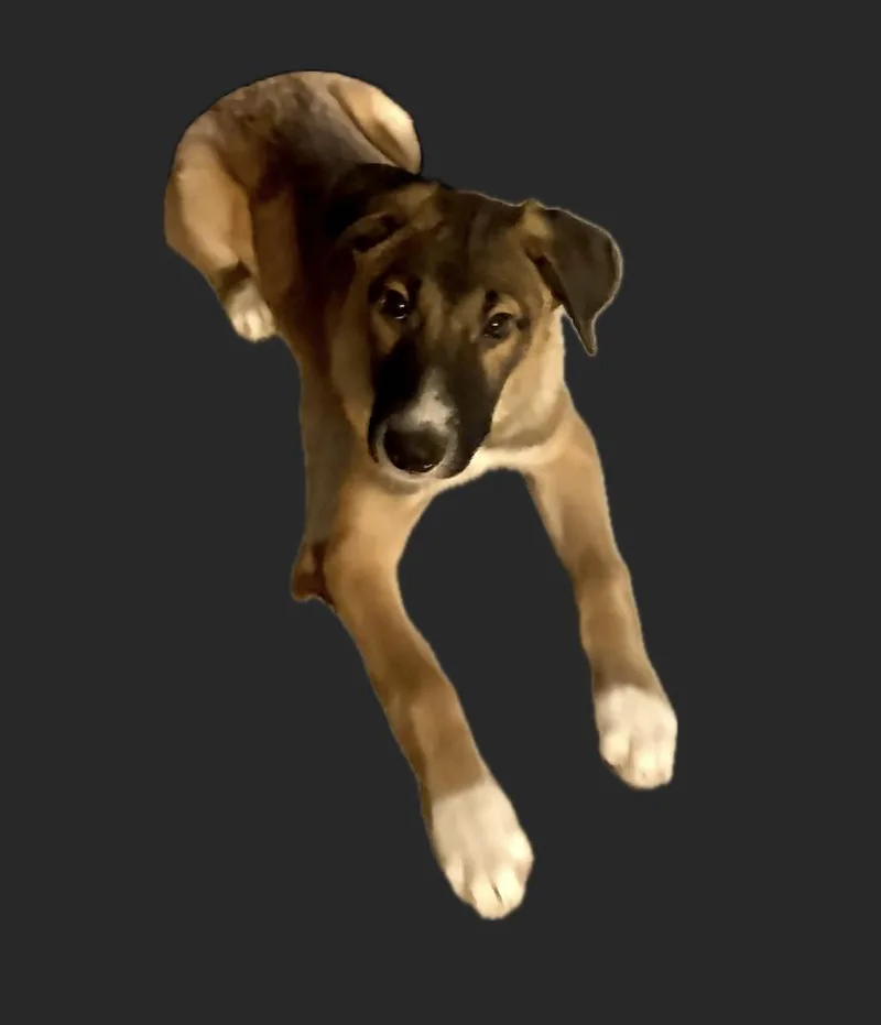 Jackpot thumbnail 2