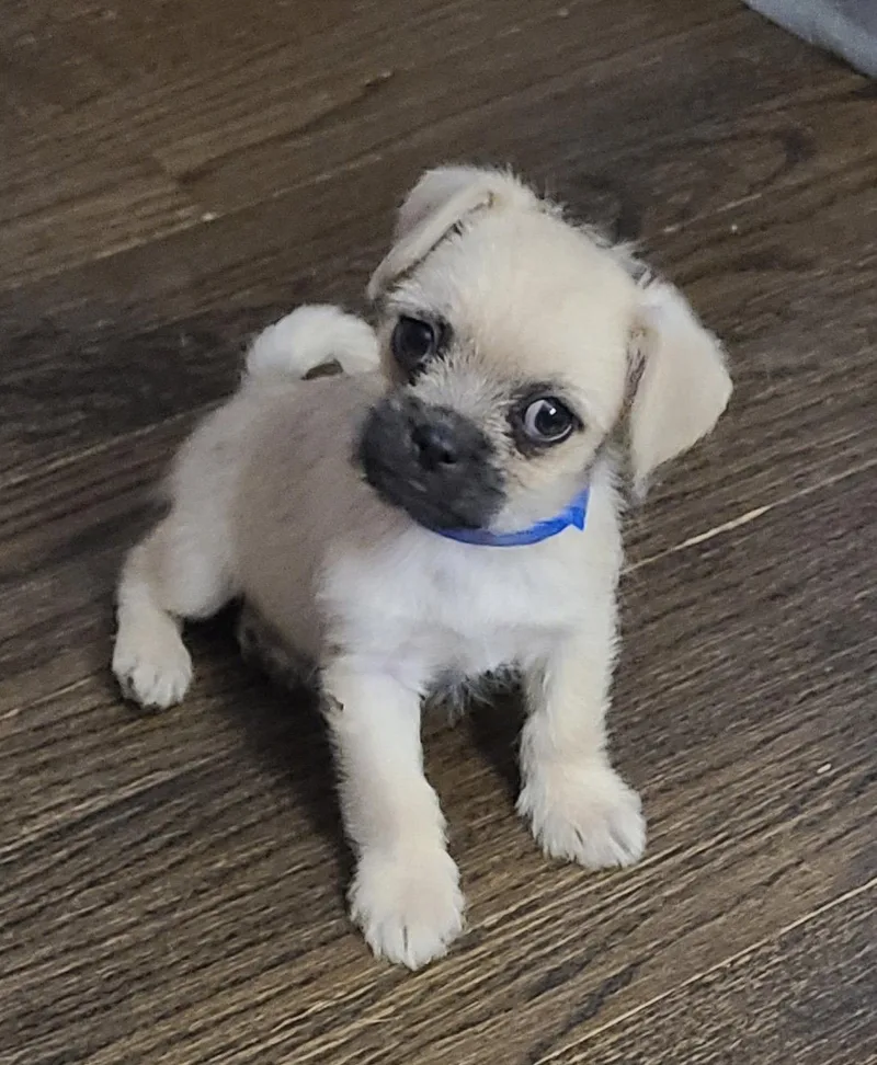 Marley Ca thumbnail 2