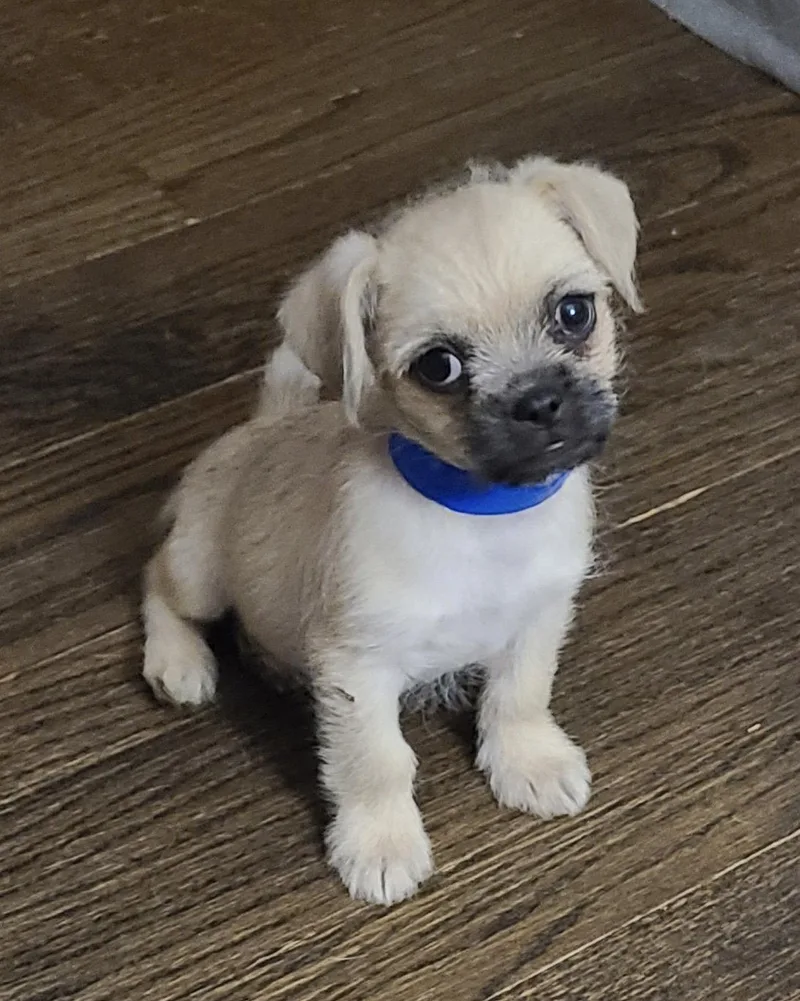 Marley Ca thumbnail 3