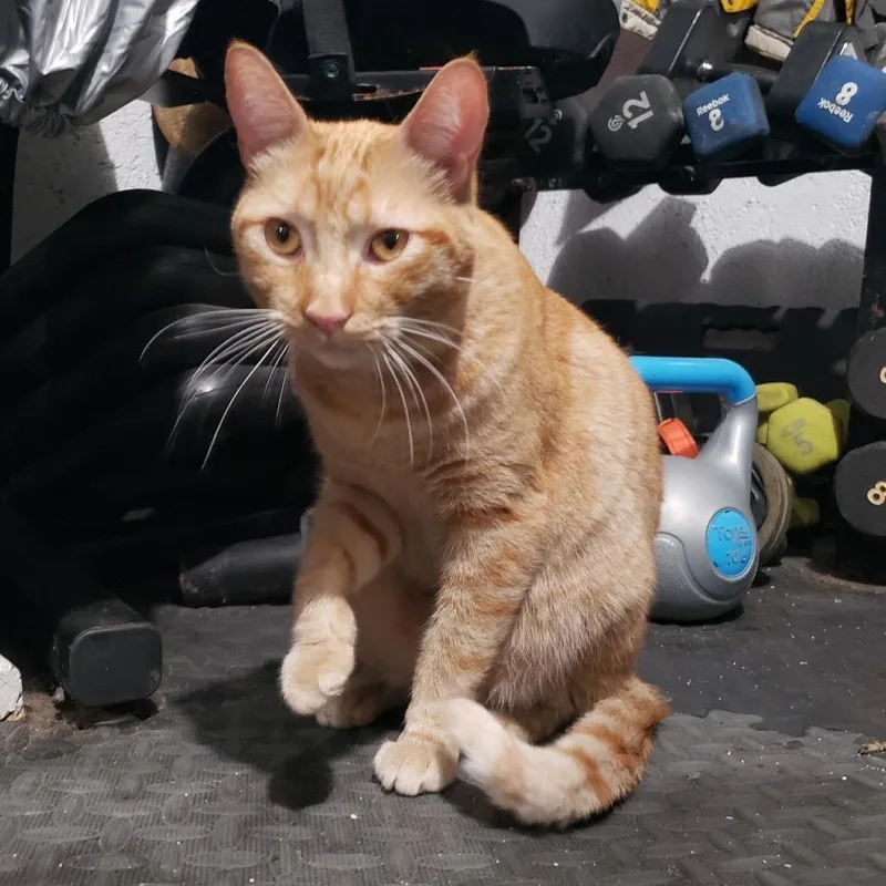 Squanchy thumbnail 2