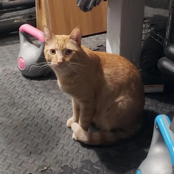 Squanchy thumbnail 3